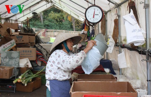 Vietnamese garden market in Washington DC - ảnh 5